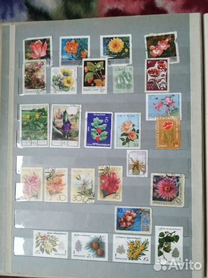 Альбом для марок