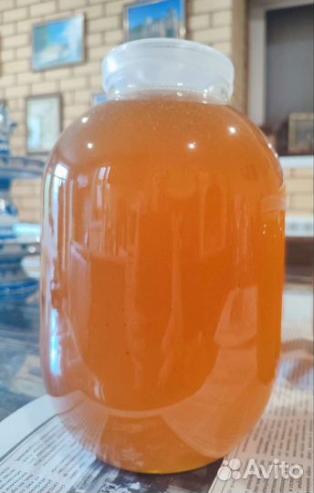 Мед 1 качка 2023