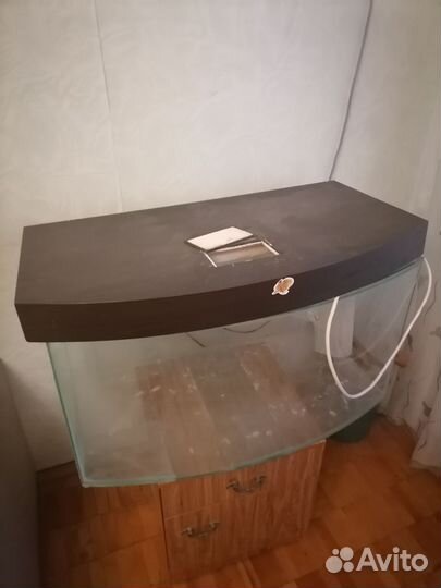 Большой аквариум на 200 литров