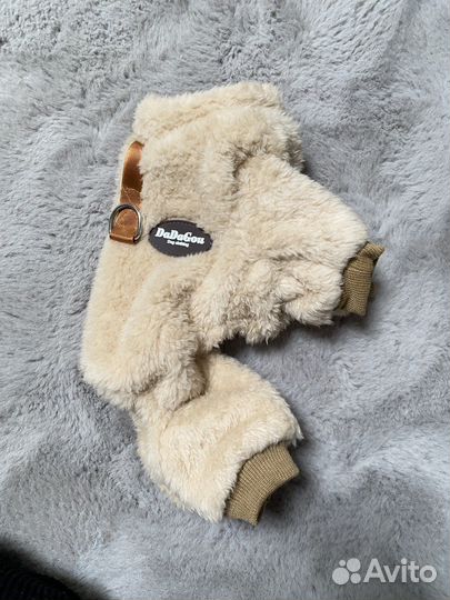 Одежда для собак