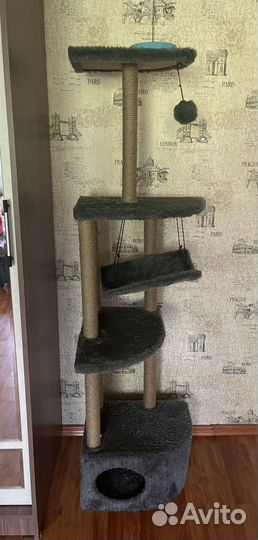 Когтеточка для кошек