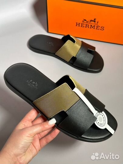 Сланцы hermes