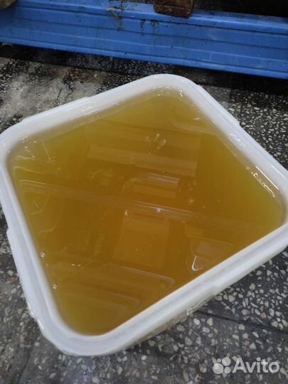 Липовый мёд оптом