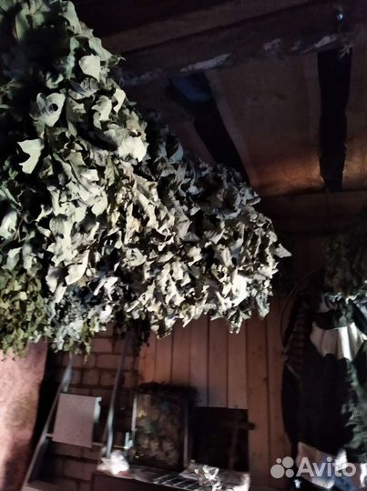 Веники. дубовые пышные