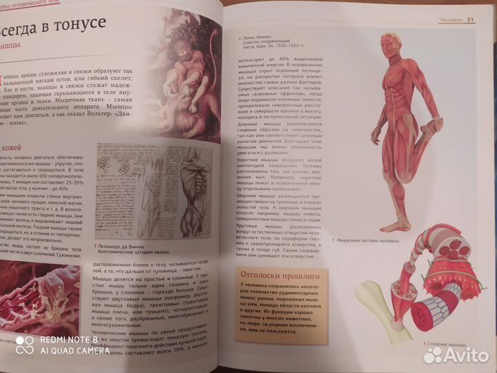 Книги для детей