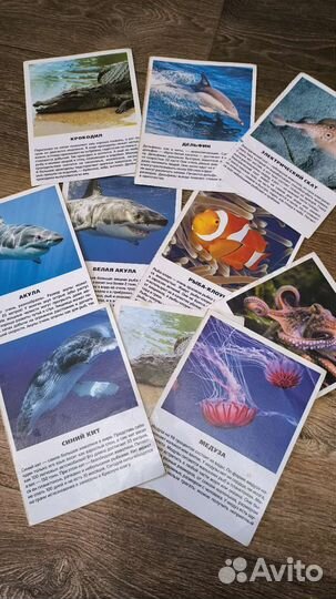 Развивающие карточки для детей