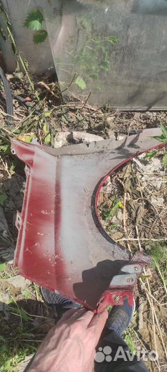 Крыло на весту