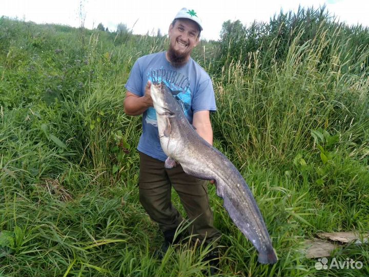 Квок,рыбалка на сома