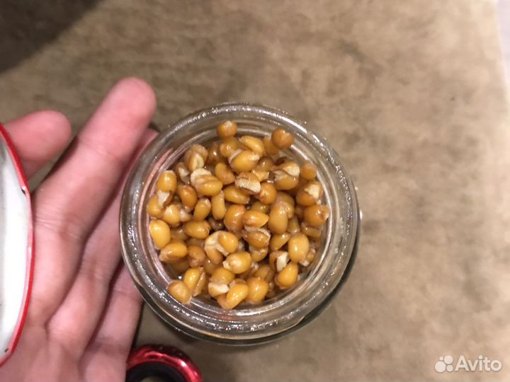 Пшеница -чеснок для рыбалки