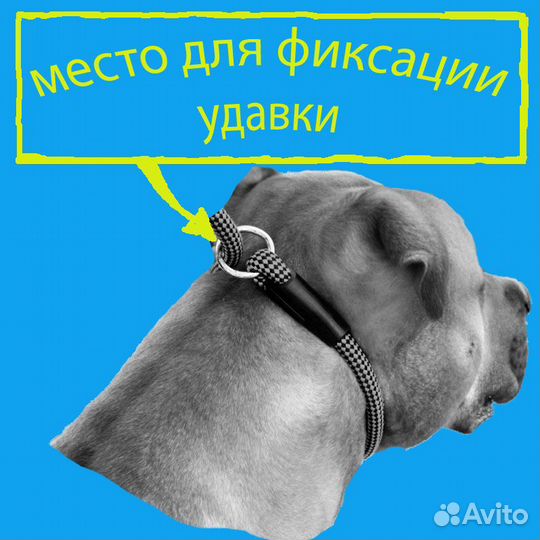 Ошейник удавка- контролер