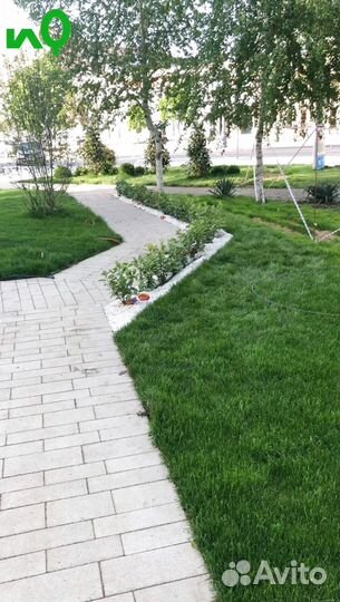 Рулонный газон под ключ/ озеленение