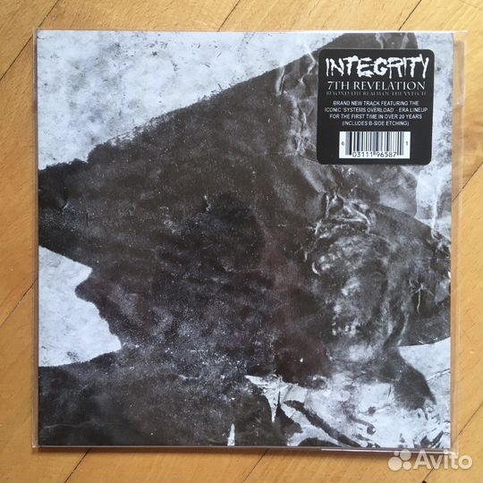 Integrity виниловые пластинки