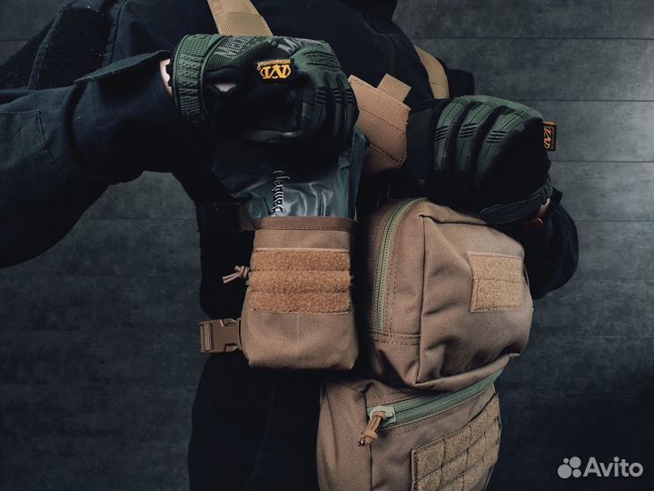 Разгрузка Agama atra (coyote, койот)