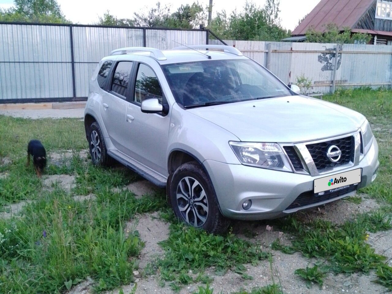 Nissan Terrano: фото владельца