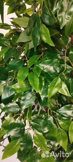 Искусственное дерево фикус каскад