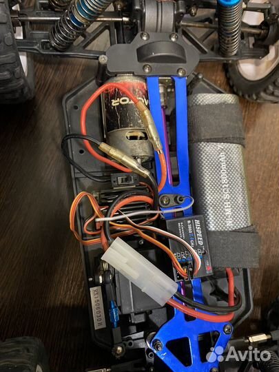 Hsp brontosaurus 94111