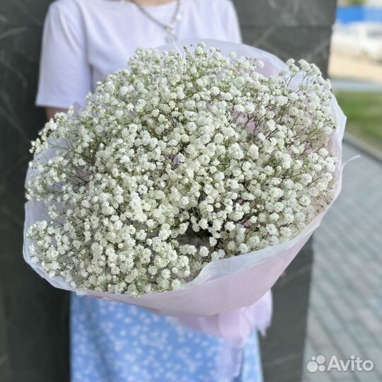 Букет из гипсофилы, цветы с доставкой