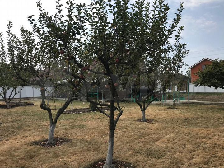 Дача 36 м² на участке 8,3 сот.