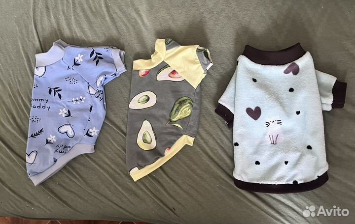 Одежда для маленьких собак h&m