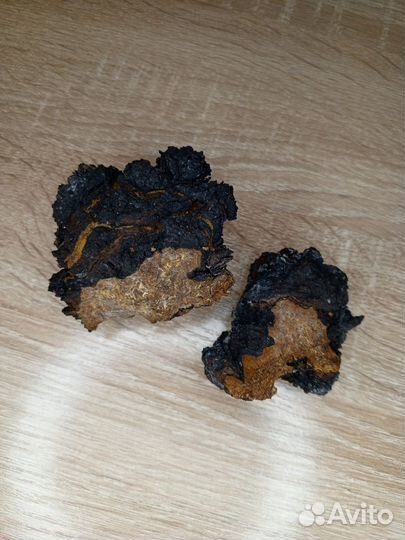 Березовая Чага