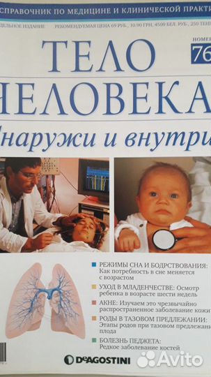 Тело человека Снаружи и внутри