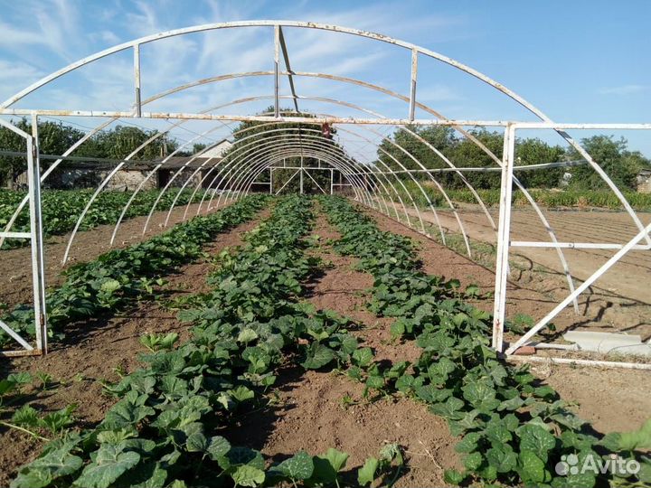 Каркас теплицы