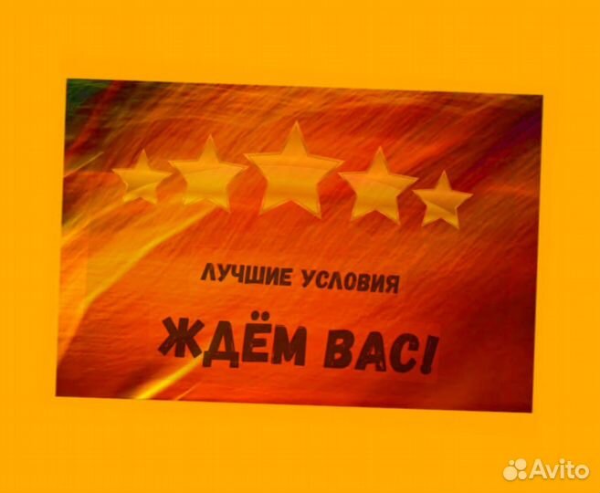 Маркировщик Еженедельный аванс М/Ж Спецодежда