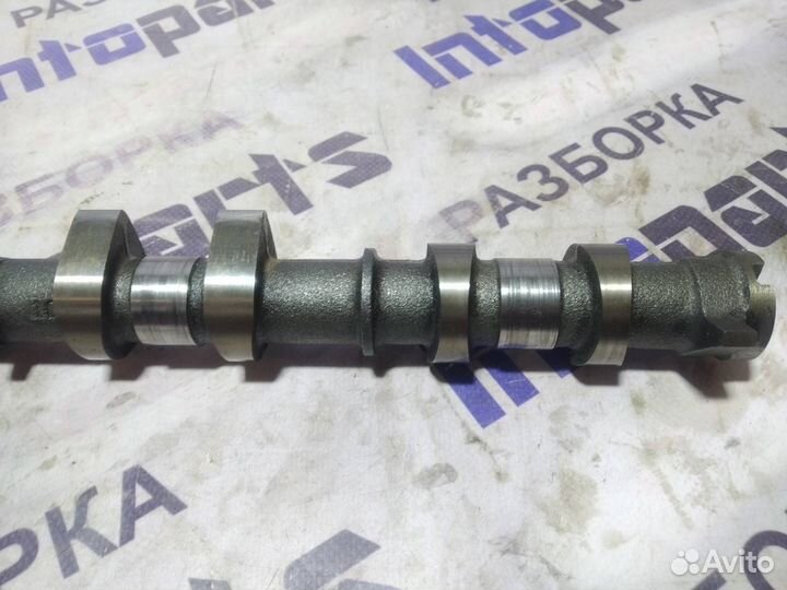 Распредвал впускной Ford Focus 2 qqdb 2006