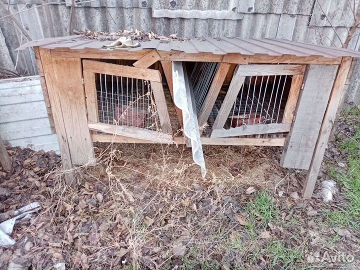 Клетка для кролика