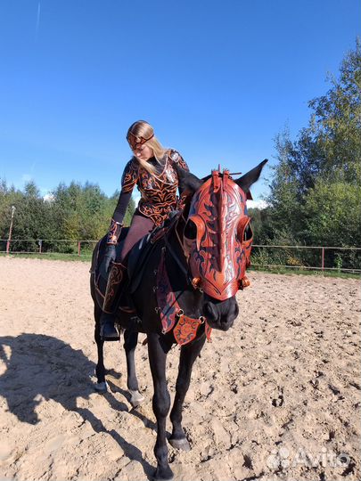 Снаряжение для всадников и коней