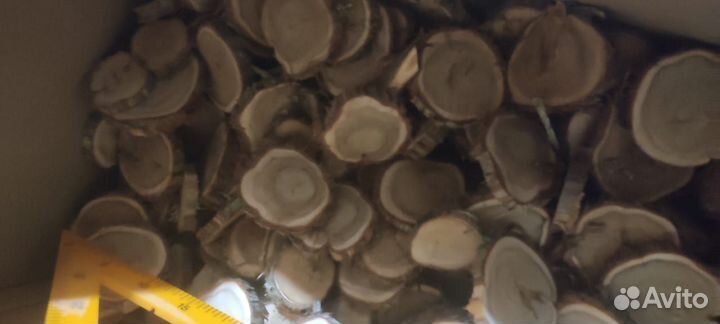 Торцевые спилы