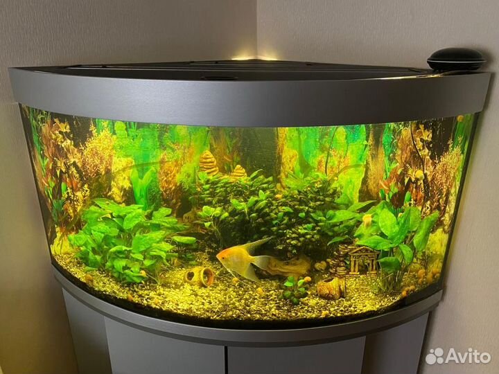 Аквариум панорамный с тумбой 350 литров