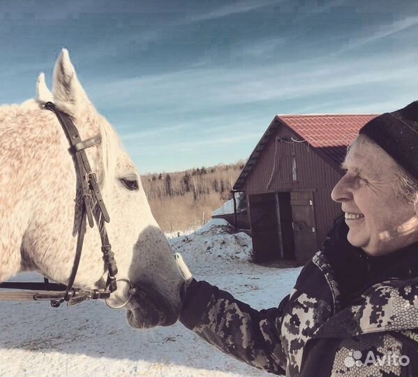 Ищем партнера или инвестора конного клуба