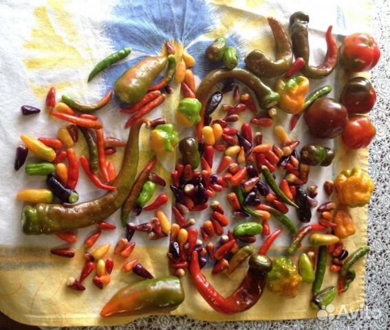 Семена острого перца