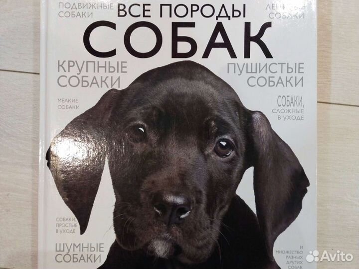 Книги про собак