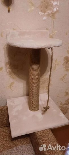 Когтеточка