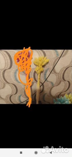 Сухоцветы для декора