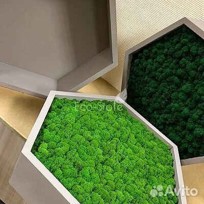 Полки соты со мхом 40 см