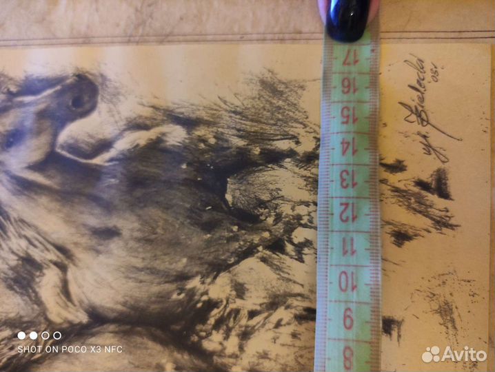 Рисунок Кони бегущие