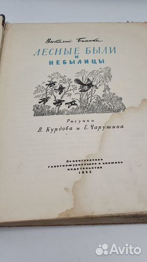 Бианки В.В. Лесные были и небылицы. Рисунки В. Кур