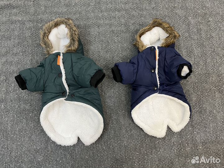 Одежда для маленьких собак