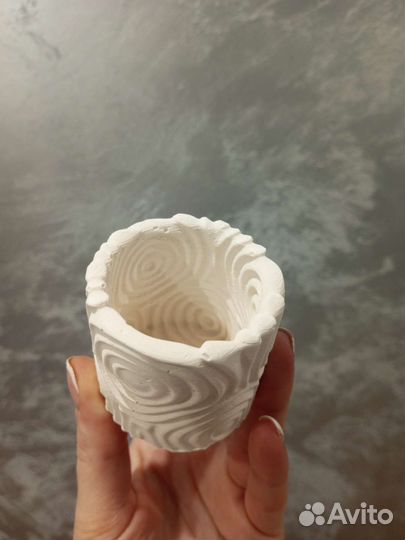 Суккуленты