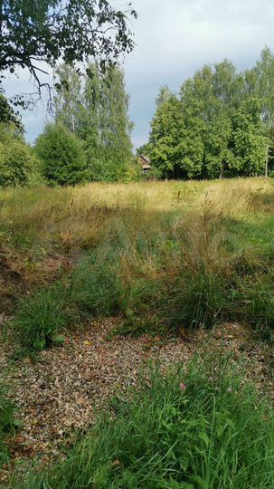 Участок 15 сот. (ИЖС)