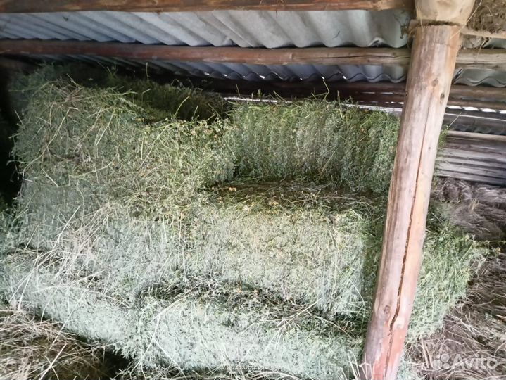 Сено люцерны в тюках