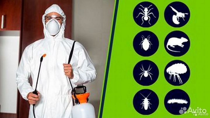 Дезинфекция от тараканов с гарантией