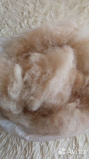 Собачий пух (шпиц)