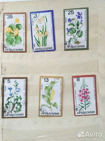Марки Болгария, ддр Цветы 80 годов