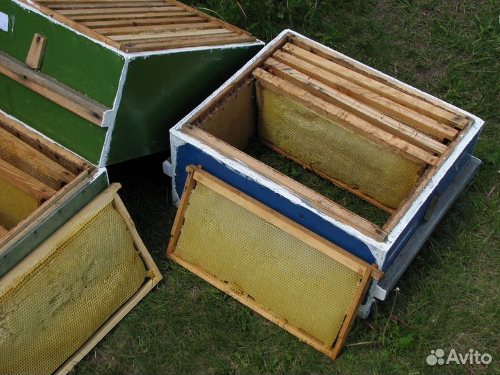 Сушь для пчёл