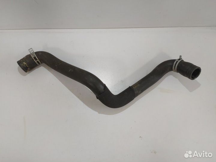 Патрубок радиатора верхний Ford Focus 3