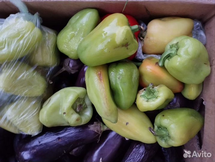 На корм для животных